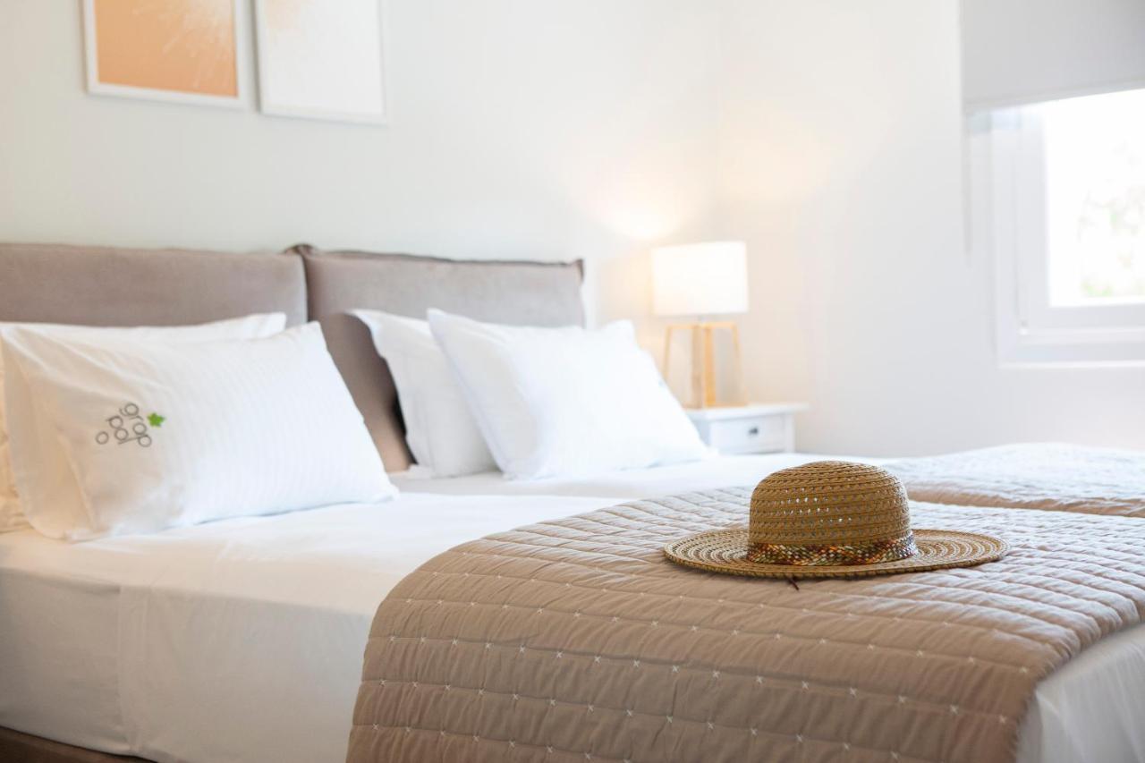 Grappolo Lefkada Villas - Vilana Ideal For Families And Small Groups Apolpaina Zewnętrze zdjęcie